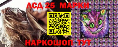 PSILOCYBIN Будённовск