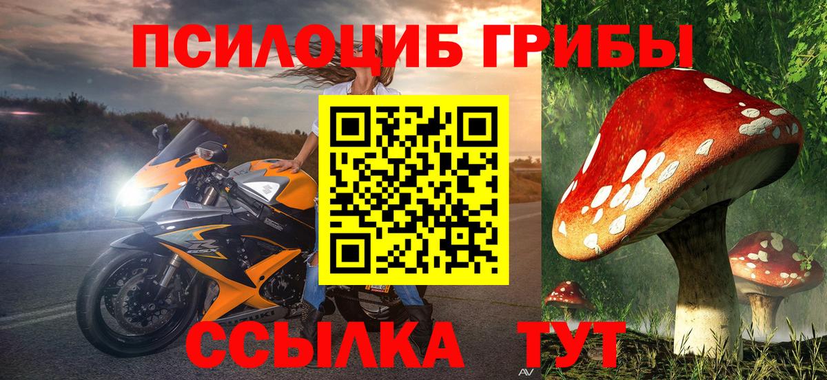 Псилоцибиновые грибы Psilocybe  Вход с VPN  Сыктывкар  Псилоцибиновые грибы Cubensis 